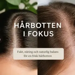 Två närbilder av hårbotten, en med mörkt hår och en med ljusare hår. Texten "Hårbotten i fokus" och "Fukt, näring och naturlig balans för en frisk hårbotten" antyder lösningar för torr hårbotten och håravfall.