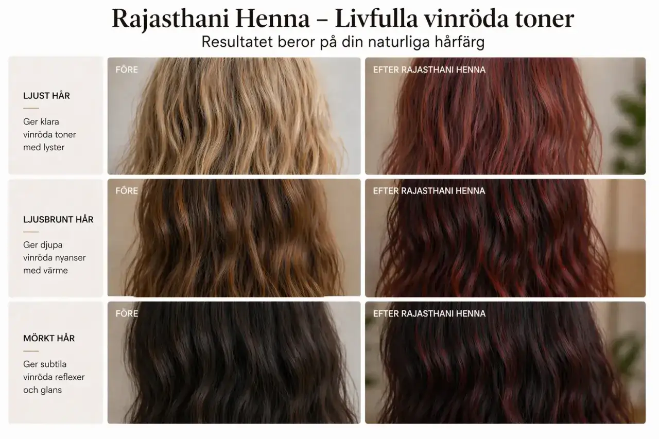 Före- och efterbilder visar hur Rajasthani hennafärg ger livfulla vinröda toner till ljust, ljusbrunt och mörkt hår.